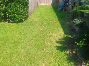 Iesha L.'s Leaf Removal service result