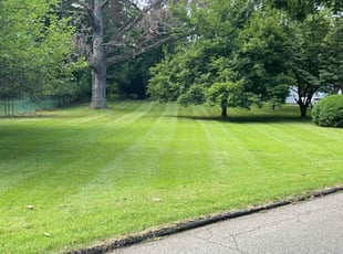 Anthony M.'s lawn service service result