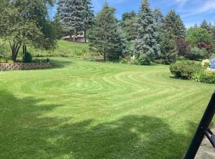 James H.'s turf maintenance service result