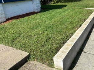 Richard T.'s lawn maintenance service result
