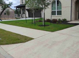 Felipe G.'s grass cutting service result