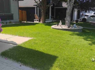 Reagan W.'s grass maintenance service result