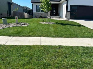 Lynette A.'s turf care service result