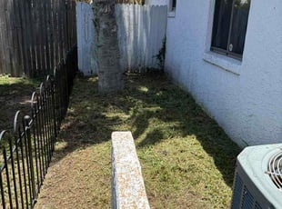 Dan G.'s Cleanup service result