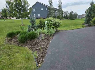 Billy M.'s Weeding service result