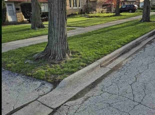 Valerie K.'s grass maintenance service result