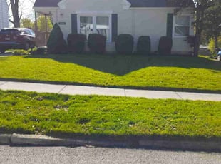 Laurie C.'s lawn service service result