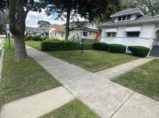 Debra I.'s lawn maintenance service result