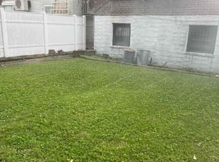 Abay Z.'s turf maintenance service result