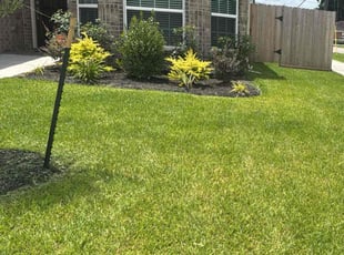 Roz W.'s lawn service service result