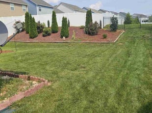 Linda B.'s turf care service result
