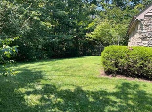 Linda T.'s lawn care service result