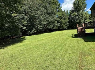 Kimberlie O.'s lawn maintenance service result