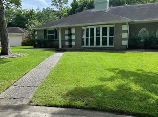 Adam G.'s grass maintenance service result