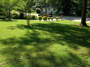 Sandy W.'s Other service result