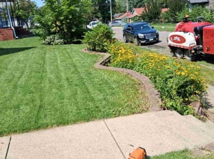 Rachel F.'s lawn care services service result