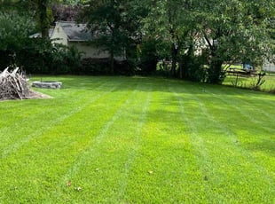Katharine M.'s grass cutting service result
