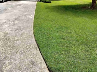 Joshua M.'s lawn care services service result