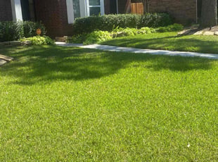 Ryan O.'s grass maintenance service result