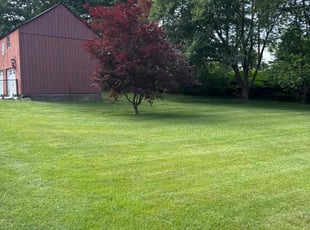 Eric S.'s grass maintenance service result