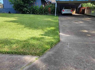 Susan H.'s grass maintenance service result