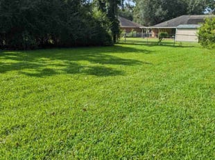 Bryan F.'s lawn care services service result