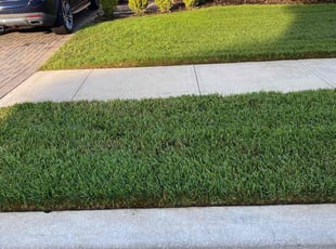 Padmini R.'s lawn care services service result