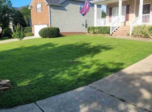 Stacy C.'s turf maintenance service result