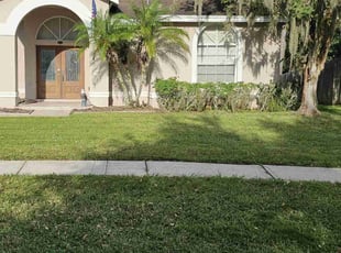 Erica P.'s turf care service result