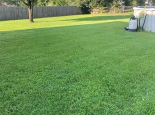 Mona B.'s grass maintenance service result