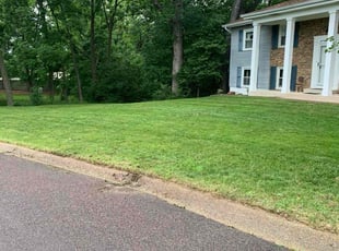 Nicole G.'s turf maintenance service result