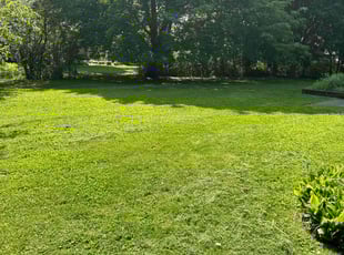 Richard W.'s lawn maintenance service result