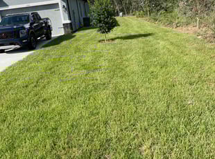 Kevin F.'s lawn maintenance service result