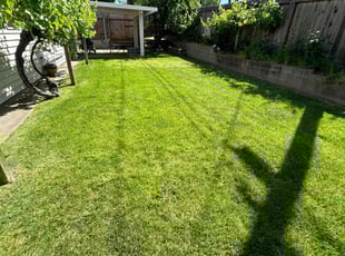 Teresita L.'s Cleanups service result