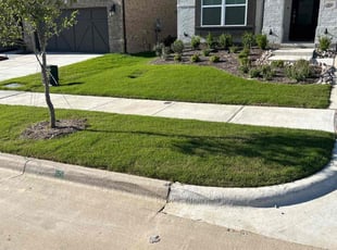 Mary F.'s lawn service service result