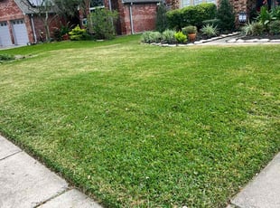 Arun A.'s grass maintenance service result