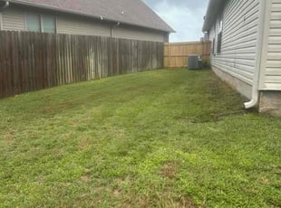 Lynette W.'s grass maintenance service result