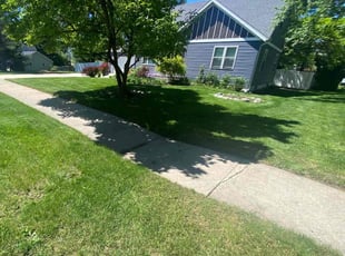 Christi D.'s turf care service result
