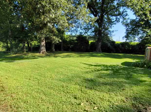 Joanna L.'s lawn service service result