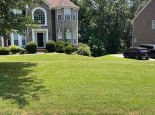 David P.'s turf maintenance service result