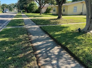 John S.'s grass maintenance service result