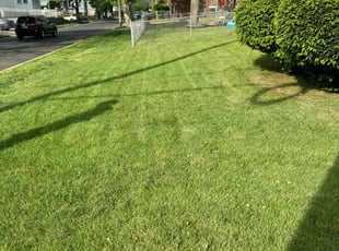Debbrin L.'s grass maintenance service result