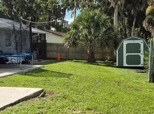 Troy D.'s grass cutting service result