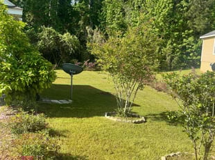 Antoinette O.'s turf maintenance service result