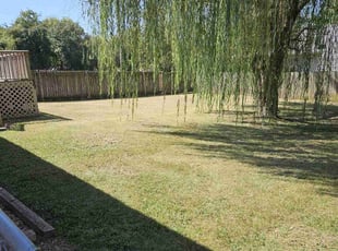 Madeline H.'s lawn service service result