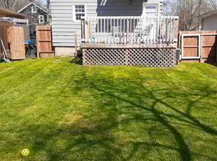 Robert O.'s landscape maintenance service result