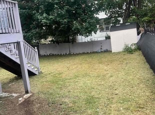 George S.'s lawn maintenance service result