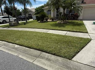 Tabitha D.'s lawn service service result