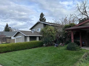Robert B.'s Leaf Removal service result