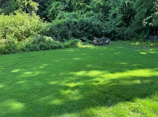 Tim H.'s lawn care service result